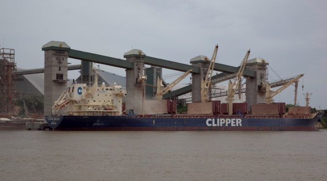 El Gobierno anunció un “récord de mercados” en las exportaciones del agro, con más de 80 nuevos destinos