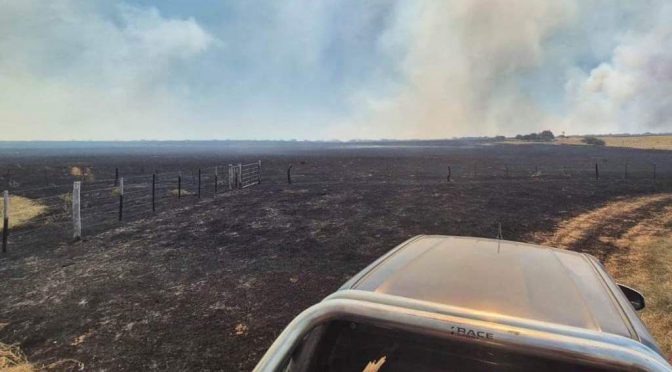 La Pampa bajo fuego: un avance temible de incendios que devora campos, hacienda y futuro