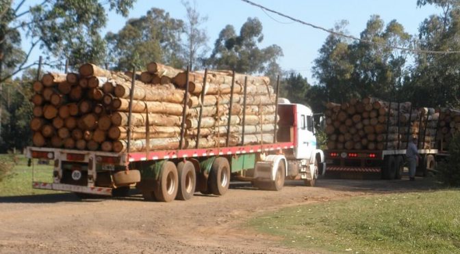 “Es una transgresión grave”: una provincia del agro endurece multas por exceso de peso en camiones