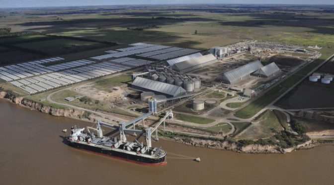 ¿Quiénes lideraron el negocio de la exportación de granos en el último año?