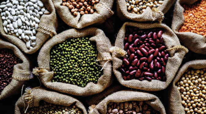 Las legumbres van por un plan para reforzar la genética y revertir “un retraso varietal de 20 años”