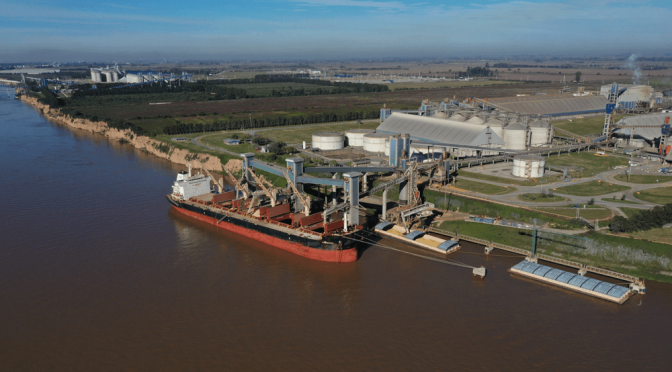 El trigo argentino es un “boom” global: se multiplican los envíos a China y pelea mercados hasta en el Mar Negro