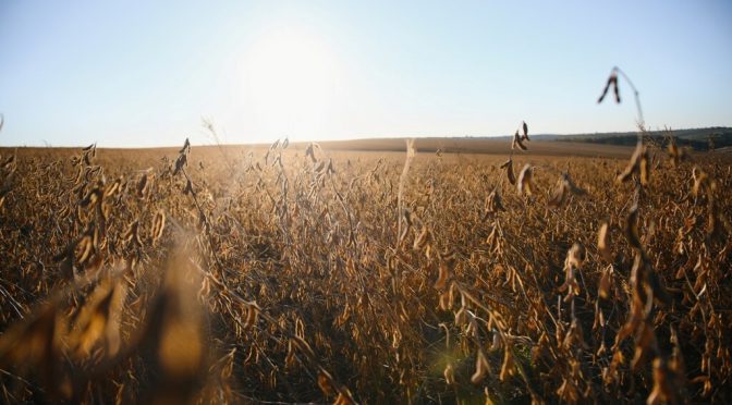 Datos agrícolas trazados: 27 millones de hectáreas ya transforman información en decisiones