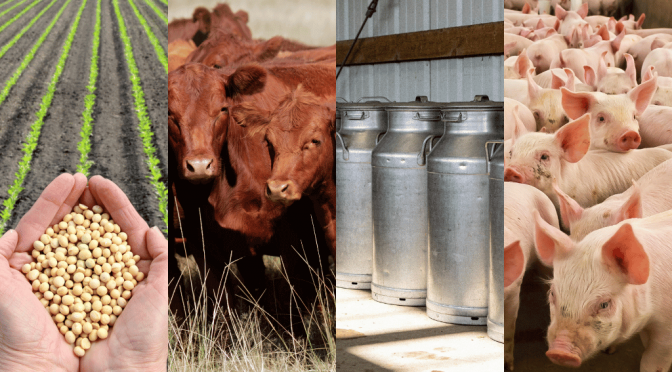 La rentabilidad del campo: en la carrera de los precios, solo la hacienda logró ganarle a la inflación