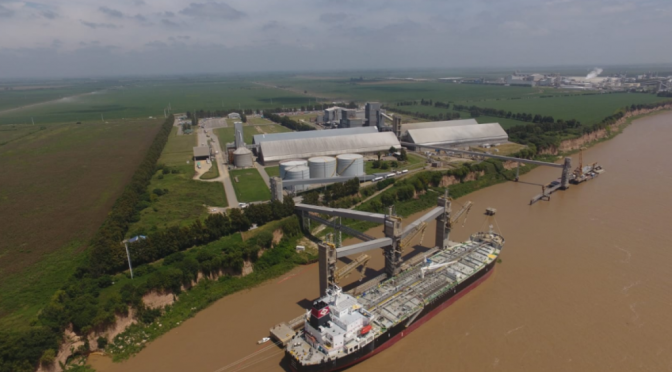 La nueva era de la industria aceitera: comienza a procesar semillas destinadas a “biofuels”