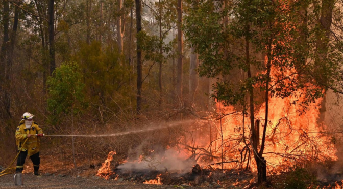 Incendios en la Patagonia: tras el pedido de los gobernadores, el Gobierno declarará la Emergencia Ígnea