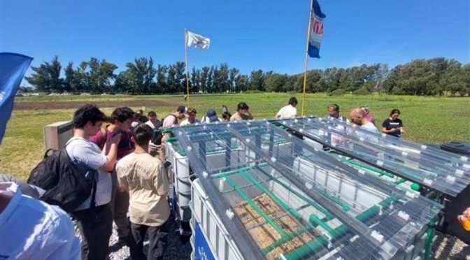 Para sumar puntos en la sustentabilidad: las camas biológicas multiplican las buenas prácticas