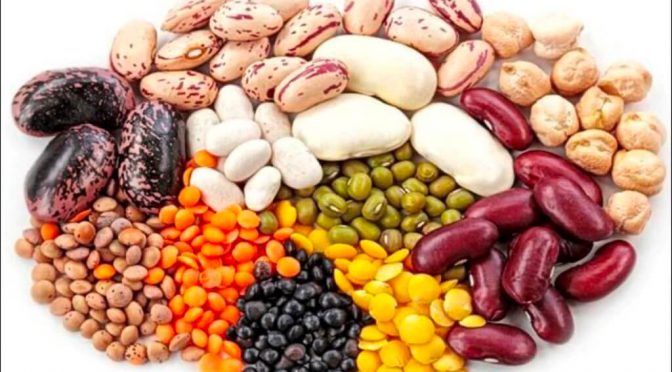 Cosecha 2025/26: las legumbres anotan su poroto para que el agro argentino siga haciendo historia