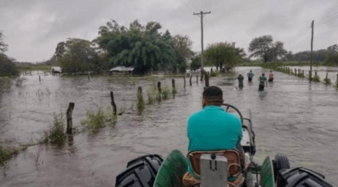 “Urge atender a los productores”: fuerte reclamo de Federación Agraria ante las inundaciones en Tucumán