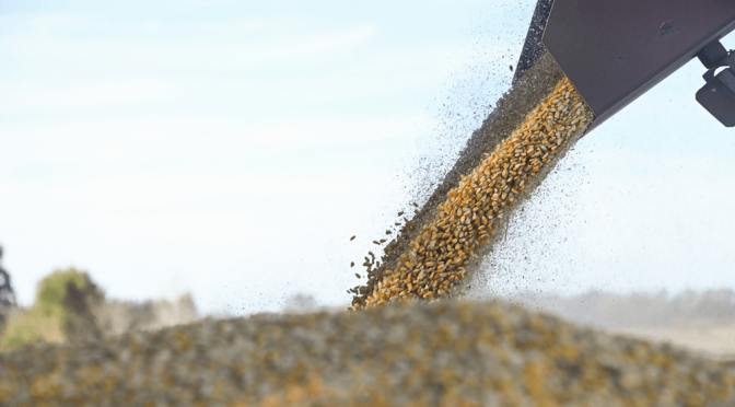 La campaña de maíz arrancó con todo: récord de embarques para marzo