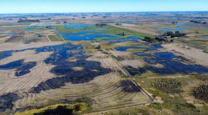 “Decimos basta”: en 9 de julio se cansaron de las inundaciones y reclaman “hechos concretos y urgentes”