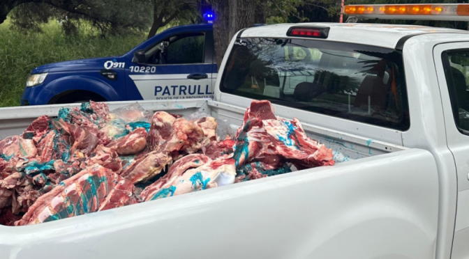 Faena clandestina: en Córdoba se decomisaron en marzo 1.700 kilos de carne bovina y porcina