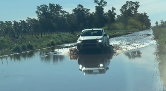 “Una señal contundente”: el campo celebra los fallos de la Justicia contra el cobro de la tasa vial
