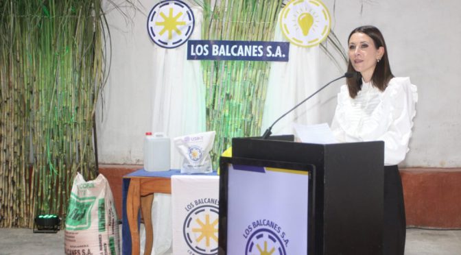 “El fantasma del azúcar brasileño”: en Tucumán comenzó la zafra y temen por las importaciones