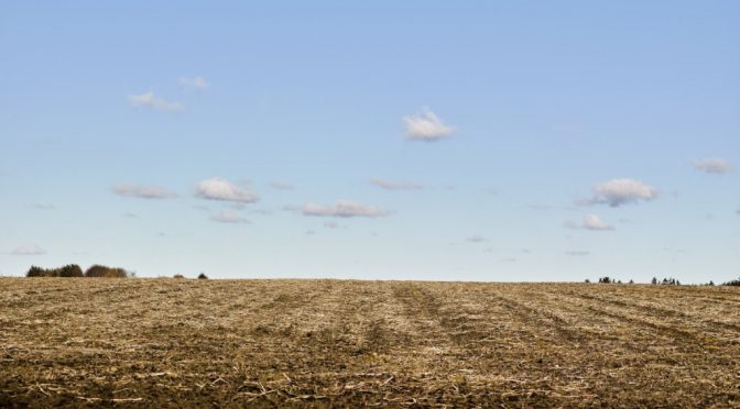 Control residual de malezas: con la cosecha gruesa en marcha, momento de “afinar” los barbechos