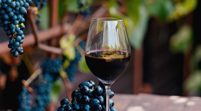 Día del Malbec: los números y 5 curiosidades del varietal insignia de la vitivinicultura argentina