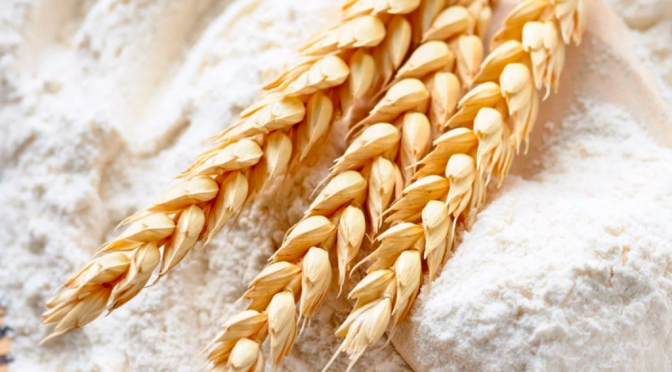 La paradoja de la supercosecha: los molinos dicen que no consiguen trigo y se declaran en alerta