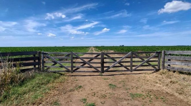 Dos miradas sobre la Ley de Tierras Rurales: ¿llave para el desarrollo o desequilibrio estructural?