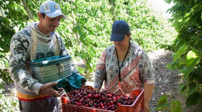 Salarios rurales: la Mesa de Enlace cruzó a la UATRE y defendió el nuevo proceso para oficializar aumentos