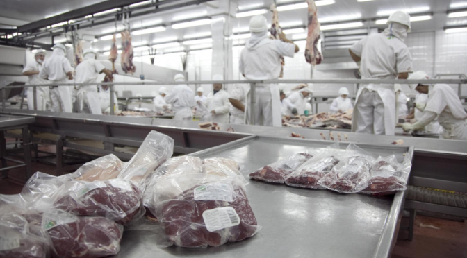 ¿Arrancó el camino hacia los 4 millones de toneladas de producción de carne vacuna?