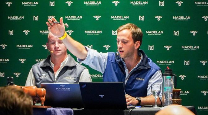 Los “lindos números” de la ganadería actual: “Hoy es un buen negocio para meterse”