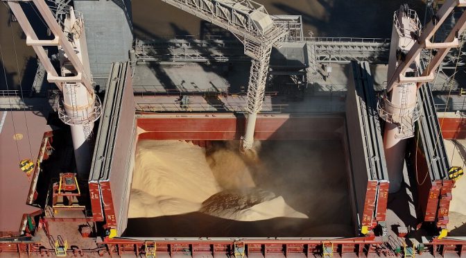 Una derrota dolorosa en el mundial del agro: Brasil ya exporta más harina de soja que la Argentina