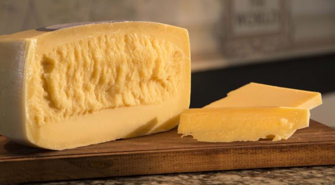 En Agroactiva se lanzó un desafío lácteo récord: producir un queso de 1.000 kilos