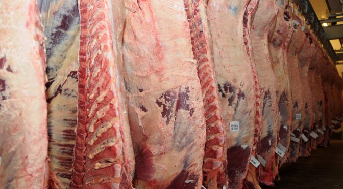 La faena bovina repuntó en mayo, pero sigue muy por debajo de 2025