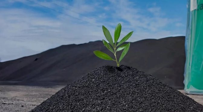 “Biochar”: los números y el potencial de otro recurso con el que Argentina puede ser protagonista global