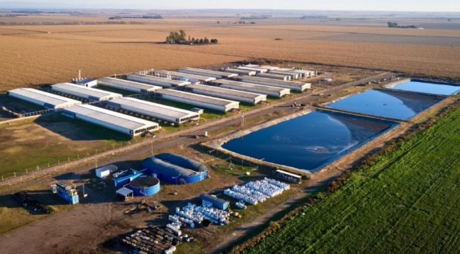 Producen biogás a partir de residuos agroindustriales y lograron un hito con los créditos de carbono