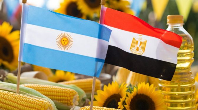 Los rivales del Mundial y el agro: con Egipto, los granos también están en la cima de la pirámide exportadora