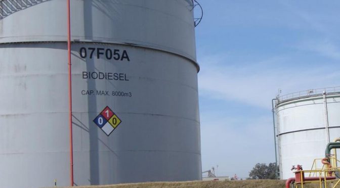 A falta de biodiésel, bueno es el aceite neutro: una “colectora” en la industria de la soja para eludir el proteccionismo