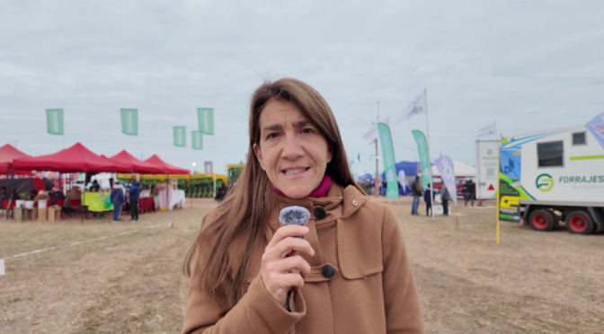 “Hoy, en la agenda del Congreso, el agro es una de las prioridades”