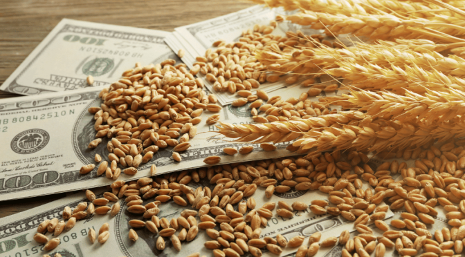 Radiografía exportadora: más de la mitad de las cadenas del agro crecen tanto en valor como en volumen