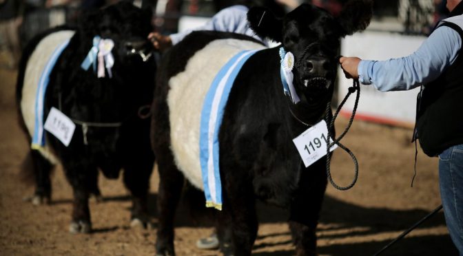Arranca La Rural 2026: todo lo hay que saber sobre la 138° edición de la Expo de Palermo