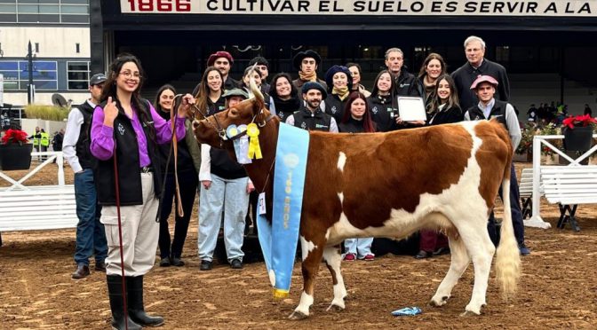 Una reina imbatible en Palermo: La Yoli volvió a consagrarse como gran campeona de los Criollos