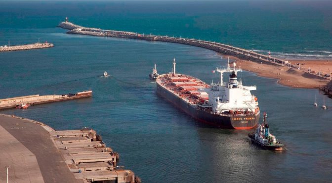 Las exportaciones del agro empujan con fuerza: 117 productos hicieron récord en el primer semestre