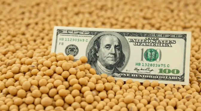 Petróleo, China y sequía: la soja escala sin freno en Chicago y se acerca a los U$S 500