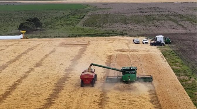 El Niño obliga a reforzar la gestión del riesgo: en los seguros agrícolas ya ven una campaña con mayor actividad