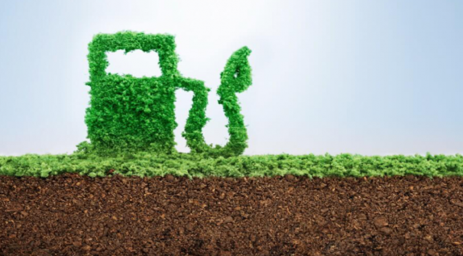 Biocombustibles: “Es el momento de avanzar a paso firme, como los países de la región”