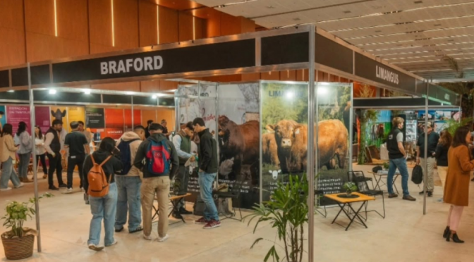 Llega la Expo Ganadera del Centro: dos días para conocer el futuro de la producción de carne