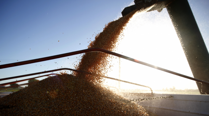 Si El Niño acompaña, el agro podría aportar un récord exportador de US$ 42.200 millones en 2027