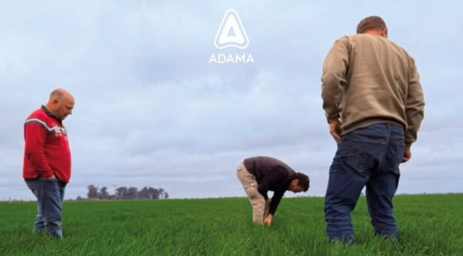 Tres décadas de innovación y cercanía que transforman el campo argentino