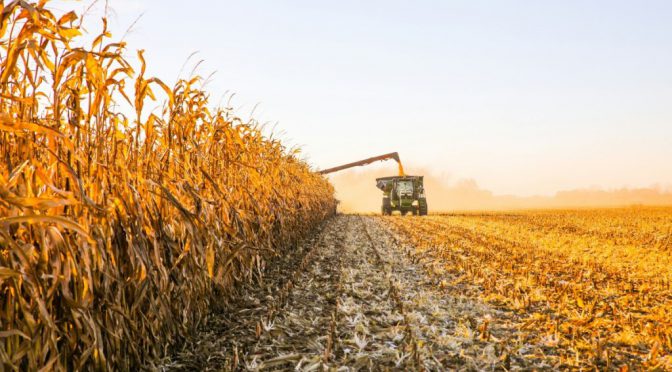 La actividad agropecuaria marca un récord en Argentina, impulsada por la cosecha histórica