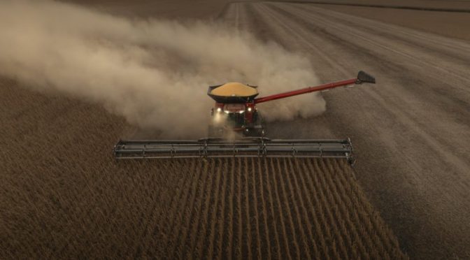 Las flechas apuntan hacia arriba: las señales que entusiasman en los precios de los granos