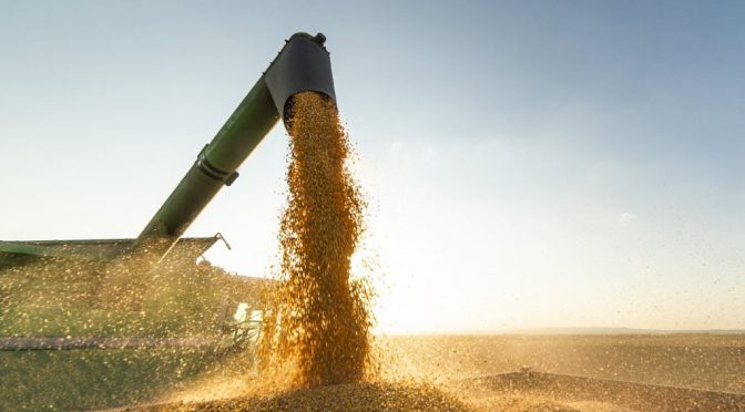 Créditos productivos: cómo financiarse para la siembra gruesa 2026/27